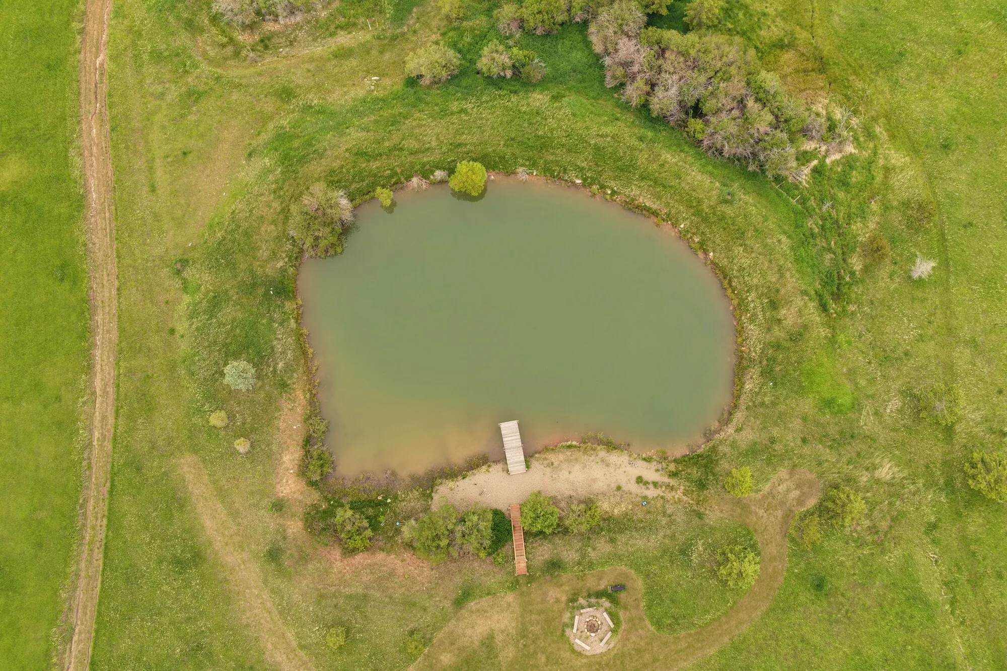 A pond and its dock from directly above