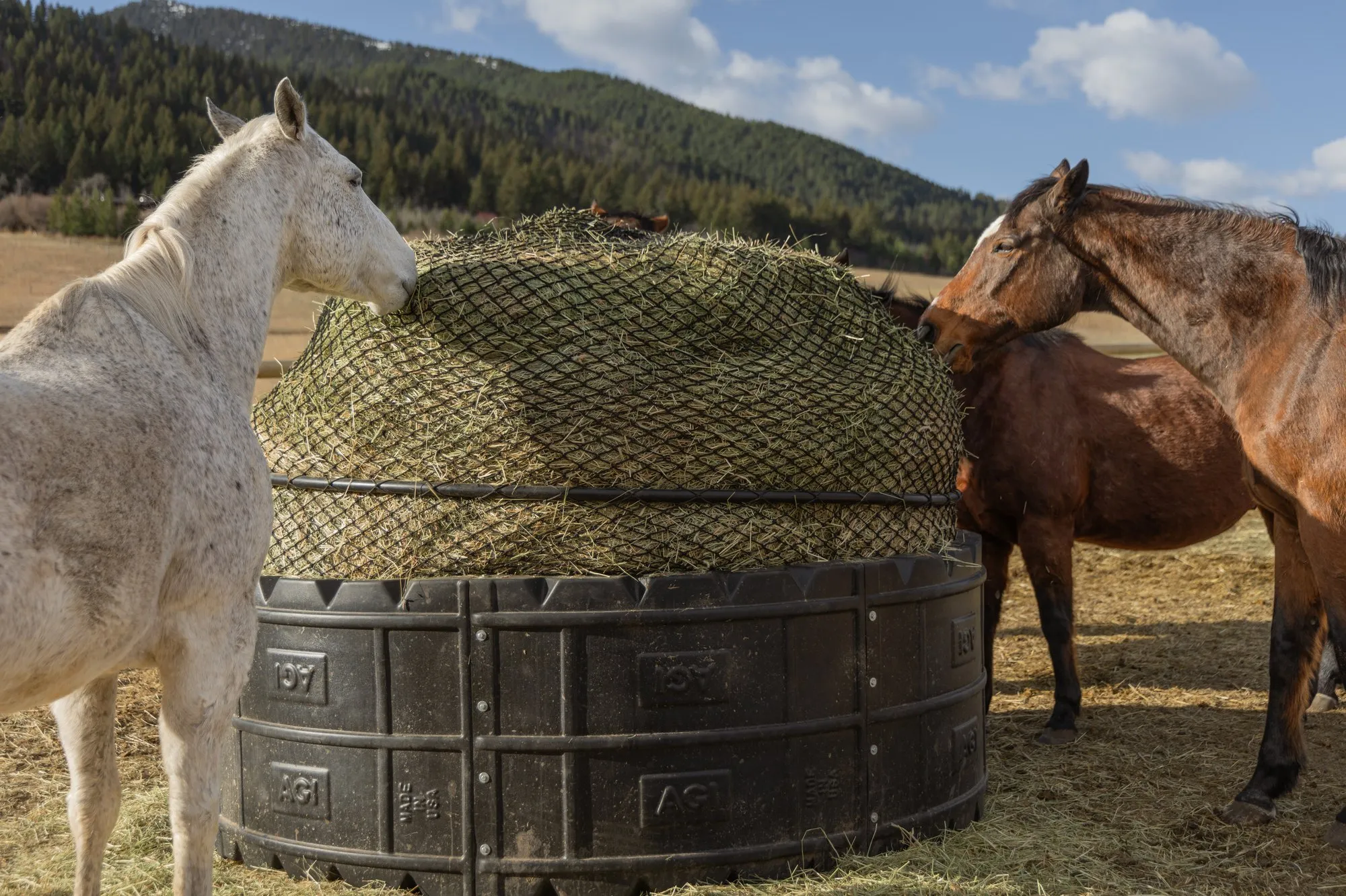 Round bale feeders keep quality hay in front of them, around the clock.