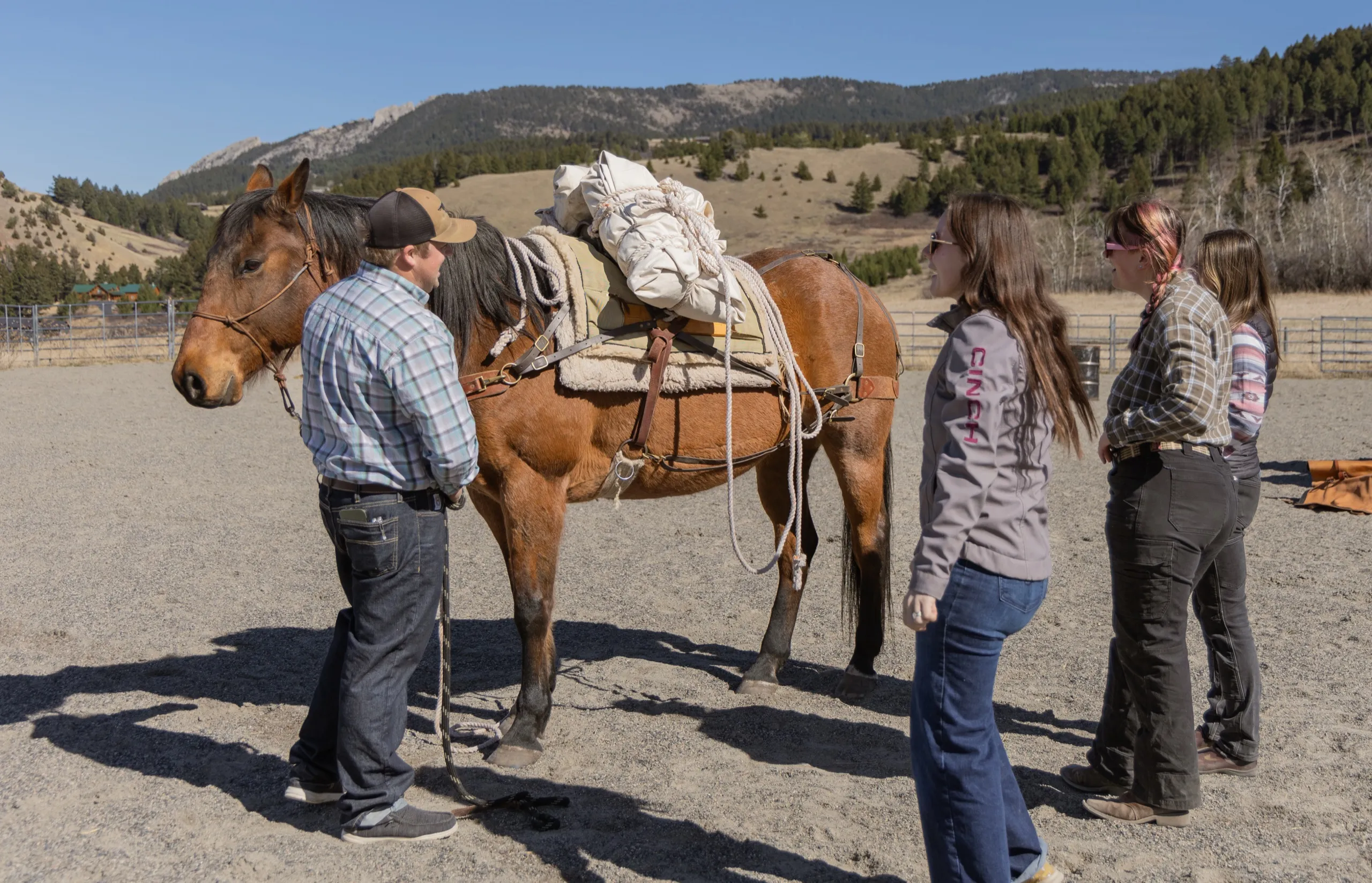 A group gathered around a pack horse at an outfitting clinic